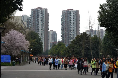 四川高考：成都师范学院2021年本科专业录取分数统计